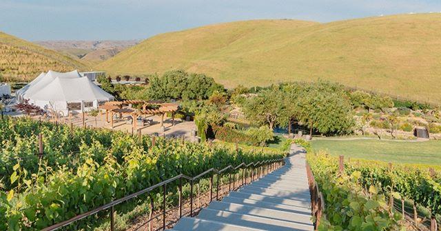 The Wedding Website of Jared McCallister and Kaylie Phillips