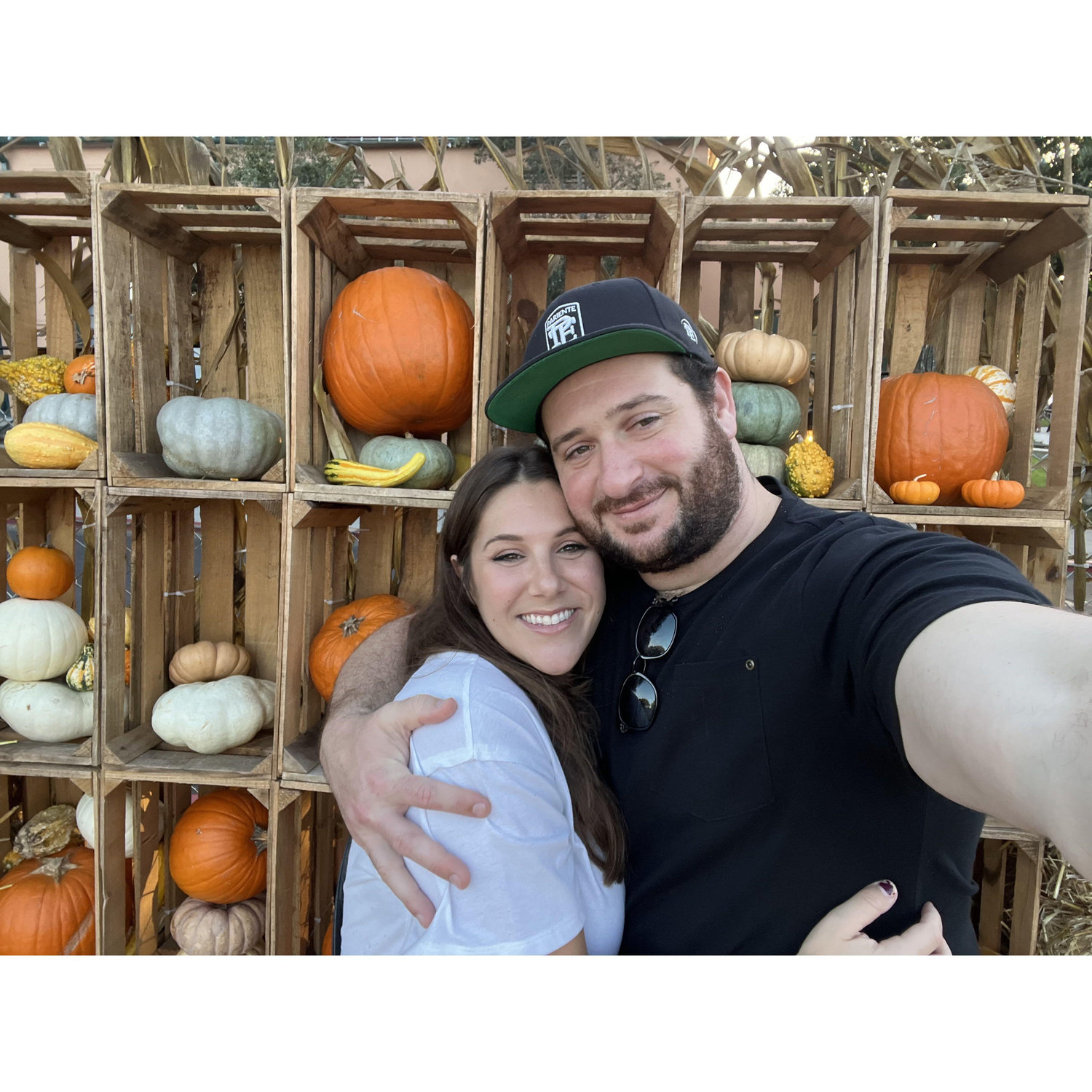 Pumpkin Patch