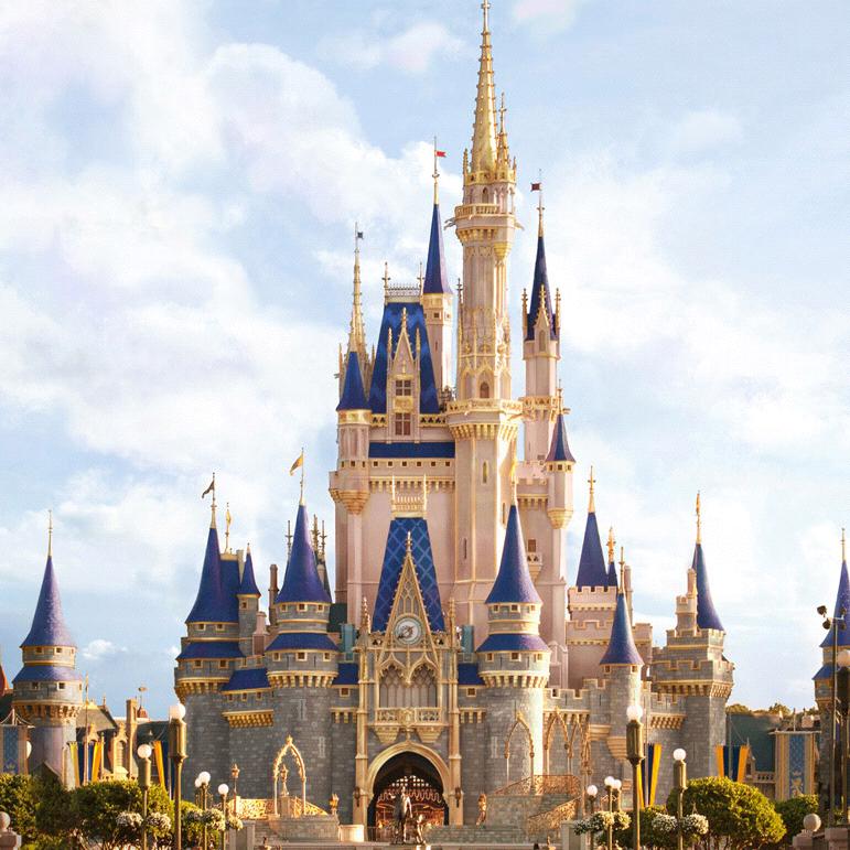 Disney World Tickets/Hotel (Honeymoon)