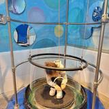 Long Island Children's Museum
