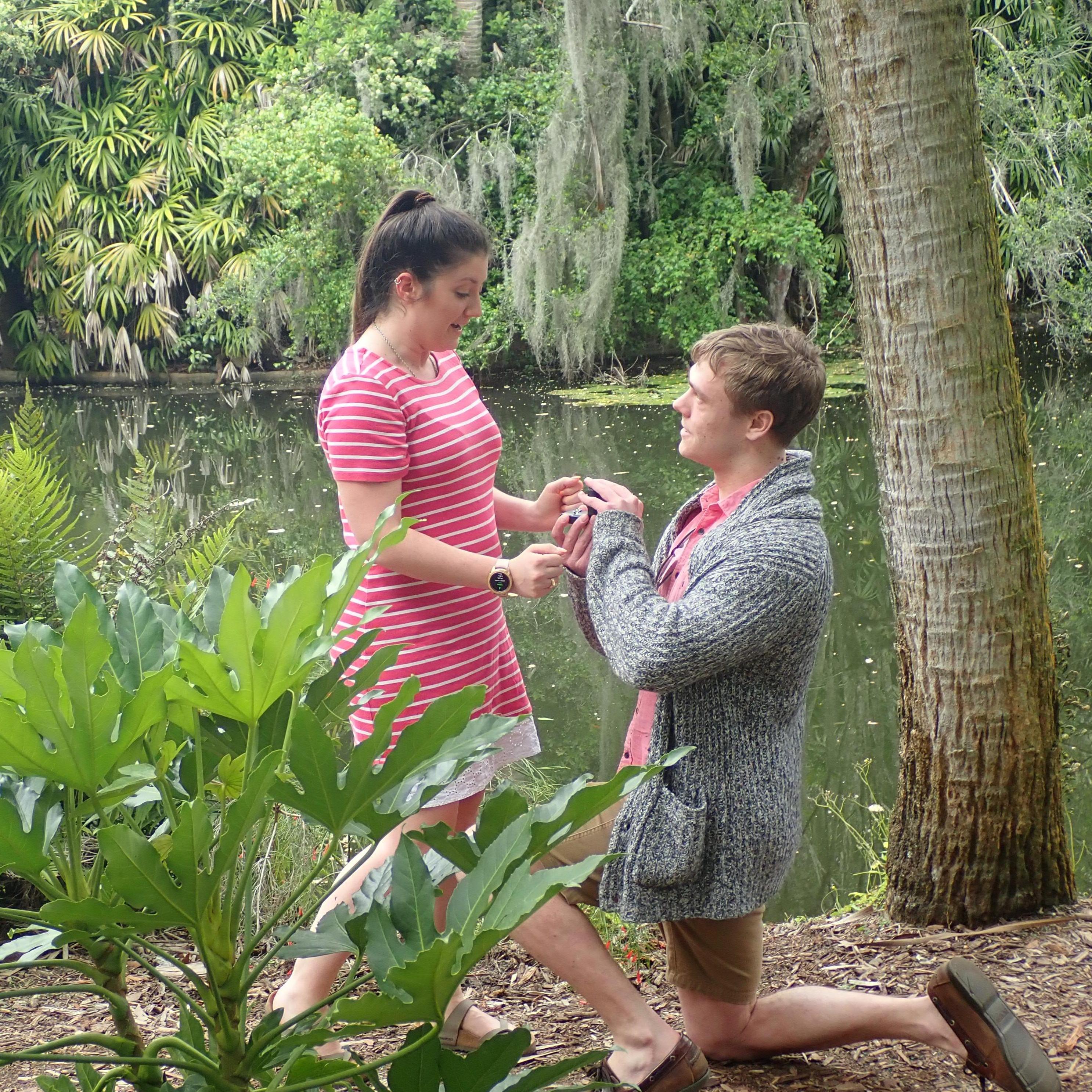 Proposal