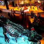 The Houston Museum of Natural Science