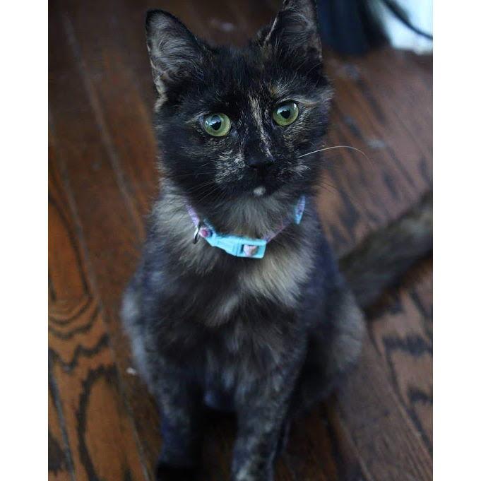 Juniper!