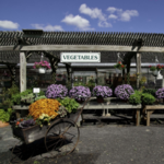 Saunderskill Farms