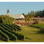 South River Vineyard