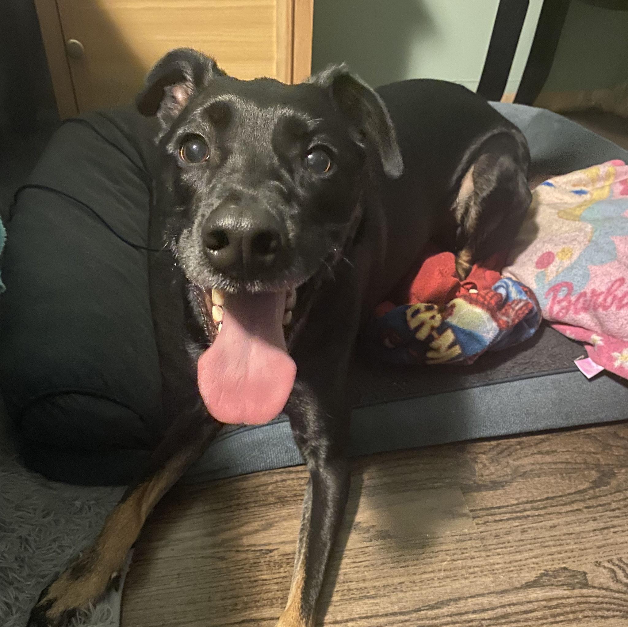 September 2022- Officially all moved into our first home!