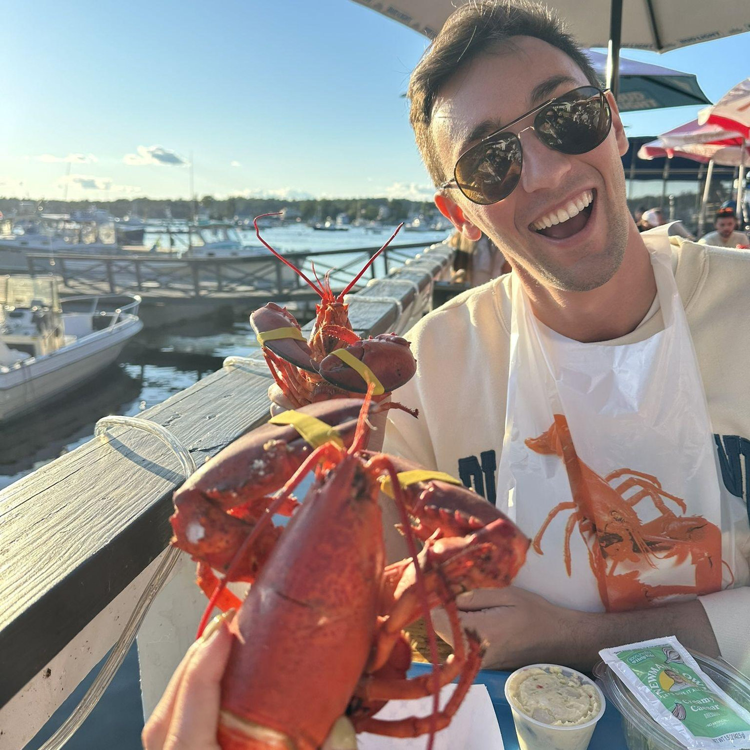 natural new englander - 2025