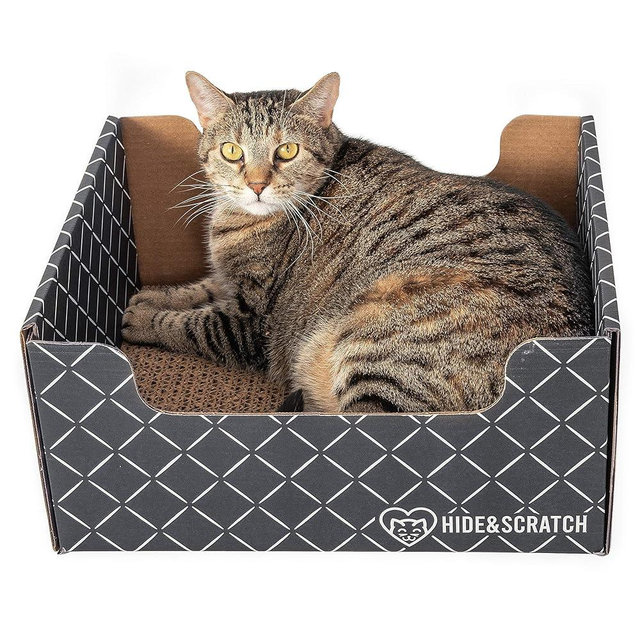Hide & Scratch Extra-Large Heavy Duty Cardboard Cat Scratcher Box and Cat Bed with Refillable Scratch Pad