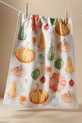 Types of Pumpkins Dish Towel