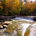 David Fortier River Park