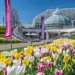 Phipps Conservatory and Botanical Gardens