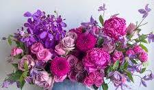 9e6799ce-93f3-4274-8efc-ebaf89e2972e