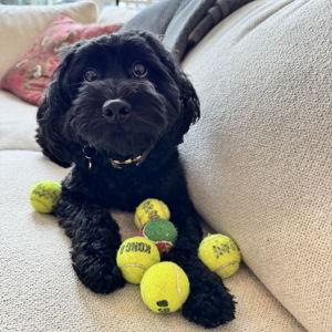 Larry Wellness/Treat Fund