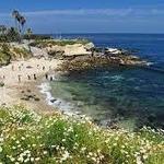 La Jolla Cove