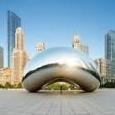 "The Bean"