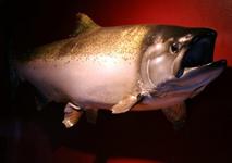 Destin History & Fishing Museum