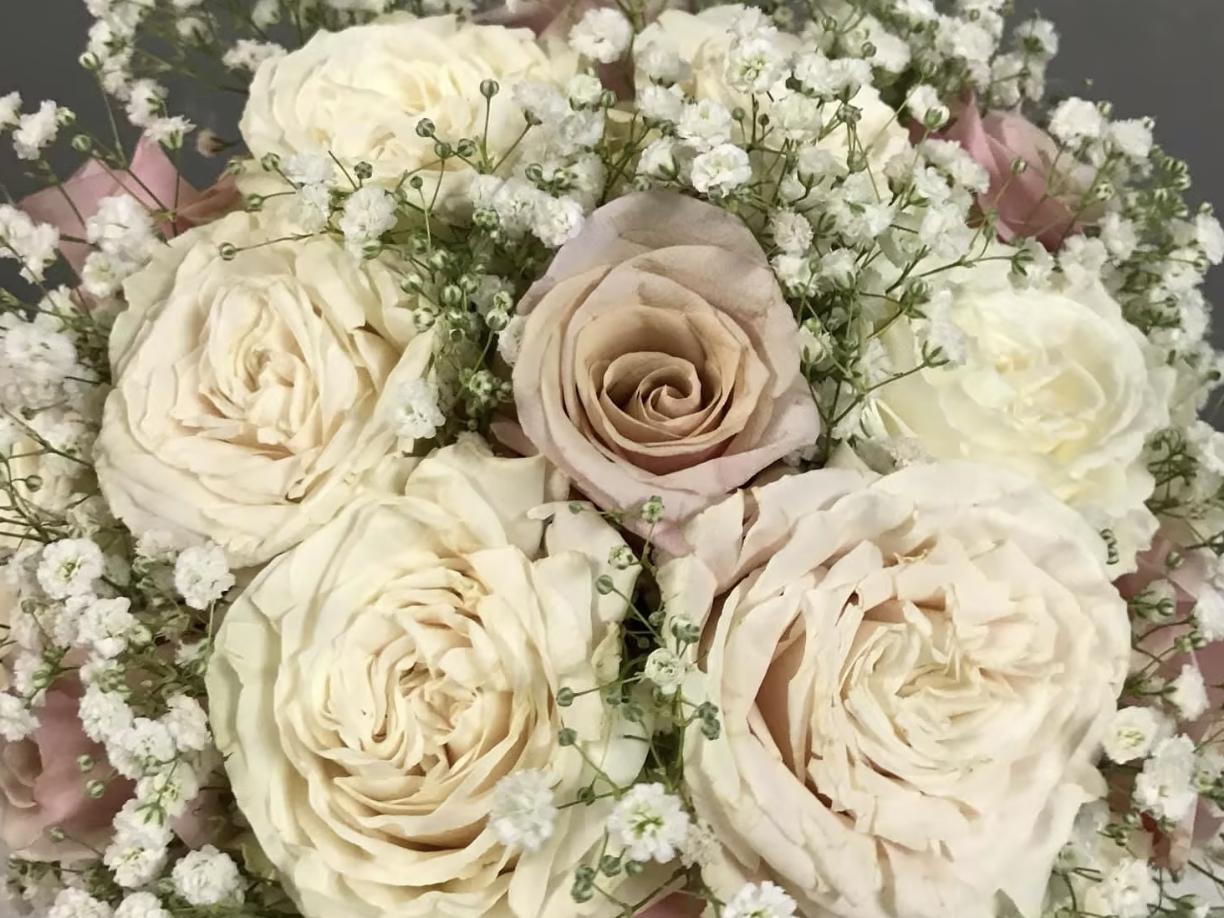 The Wedding Website of Lisa Lujan and Ani Rodriguez