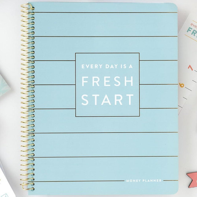 PPP Money Planner | 10 Cash Budget Envelopes | Budget Planner | Annual & Monthly Financial Worksheet, Expense, Saving & Debt Reduction Pages | Stickers | Long-Term Financial Goals | Spend Ledger