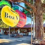 Boa Vista Orchards