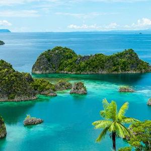 Help us create a memorable honeymoon and choose an activity for us to do!