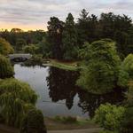 Beacon Hill Park