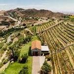 Cielo Farms