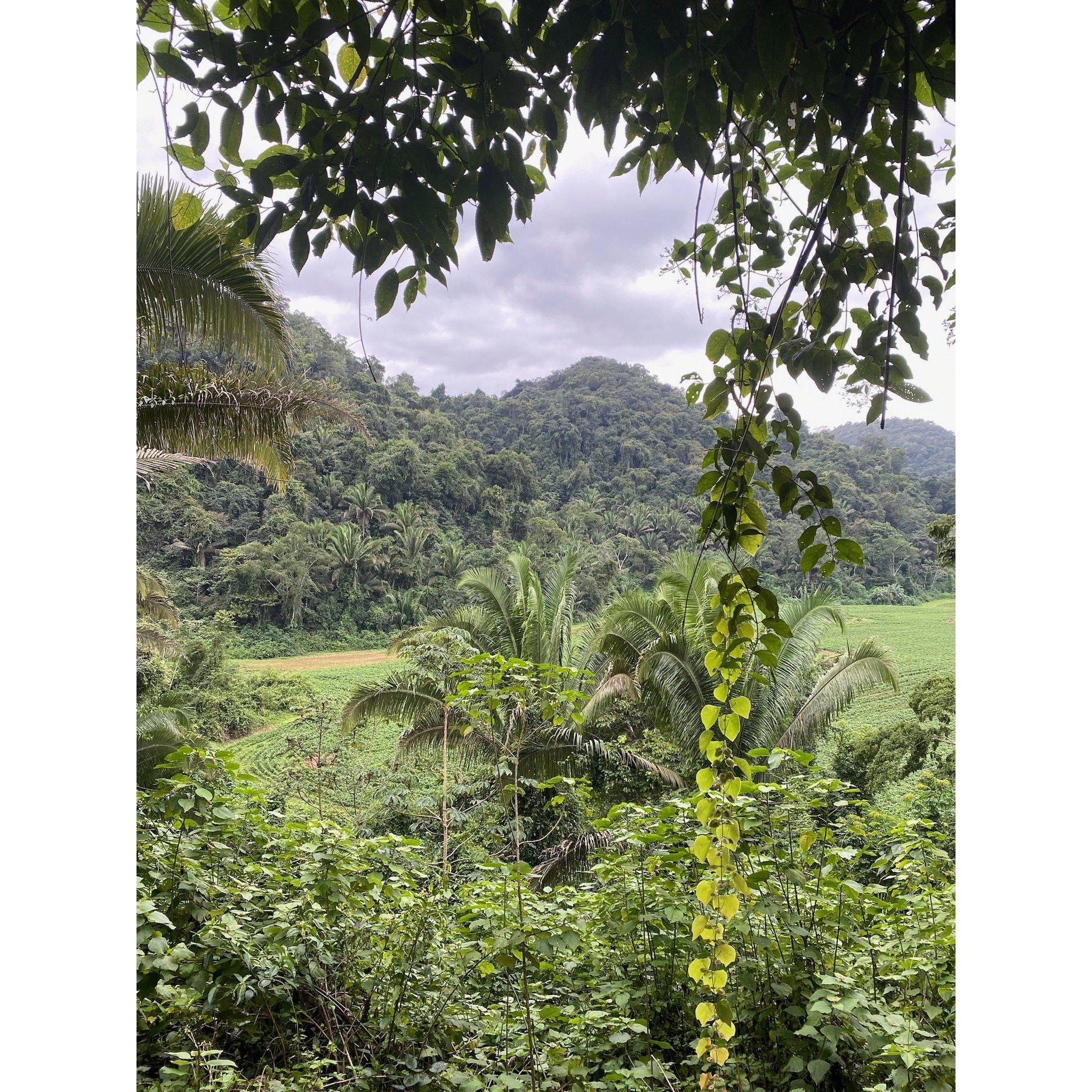 The country is beautiful!