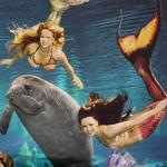 Weeki Wachee Springs State Park