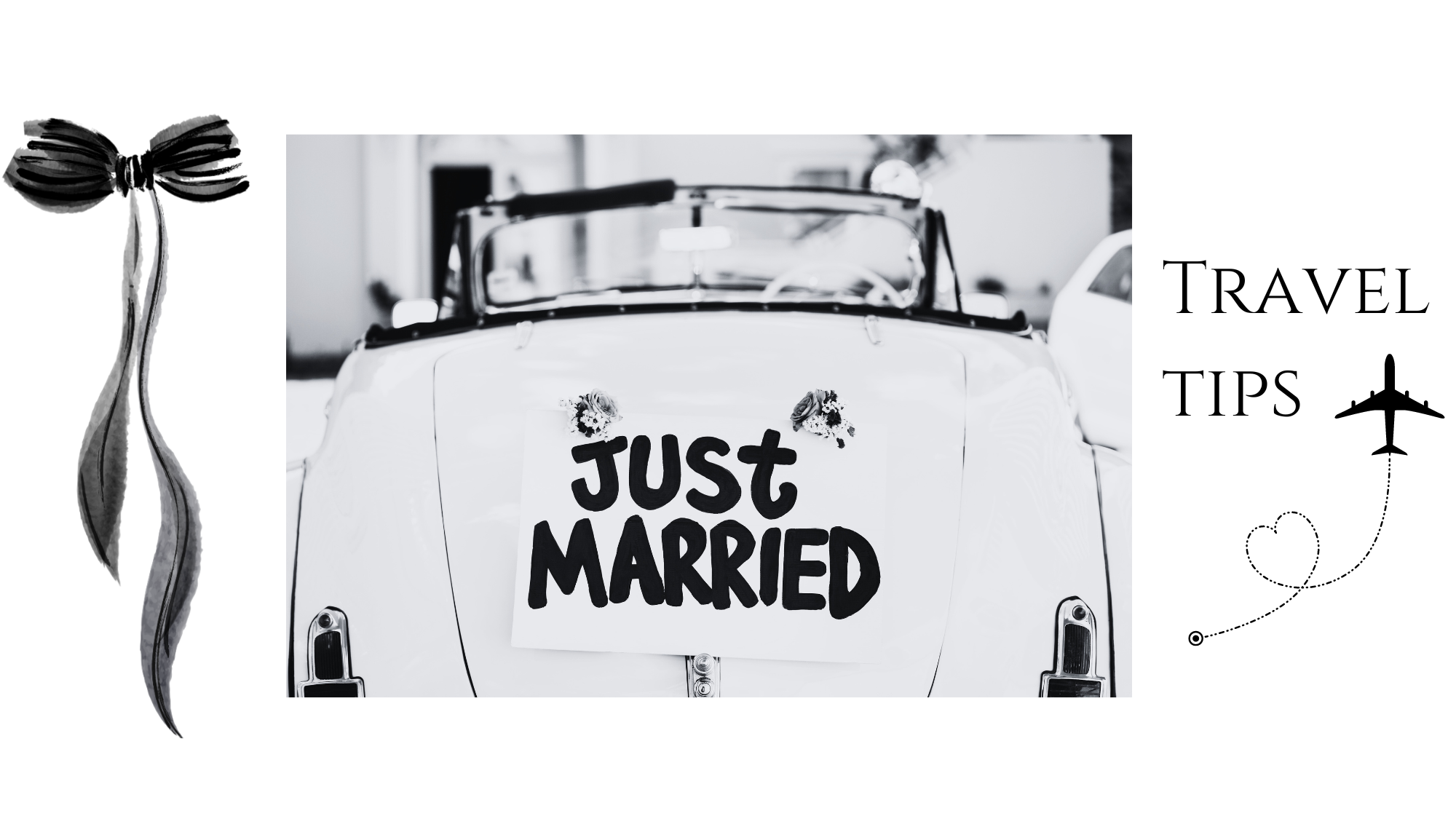 The Wedding Website of Stephanie Breiling and Andrew Contaxis