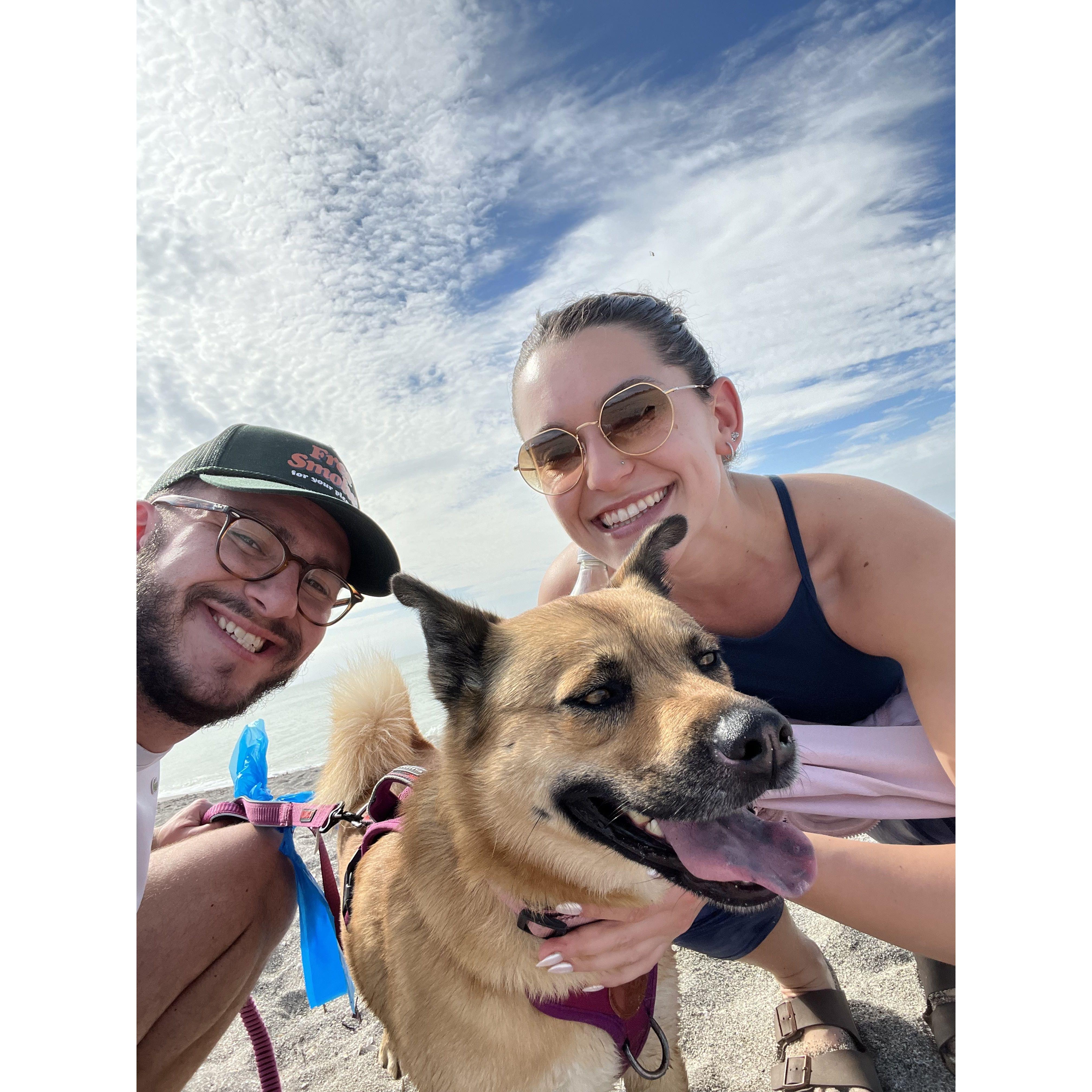 With our fur baby Marlo at the dog beach in Sarasota, FL