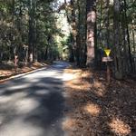 Poinsett State Park