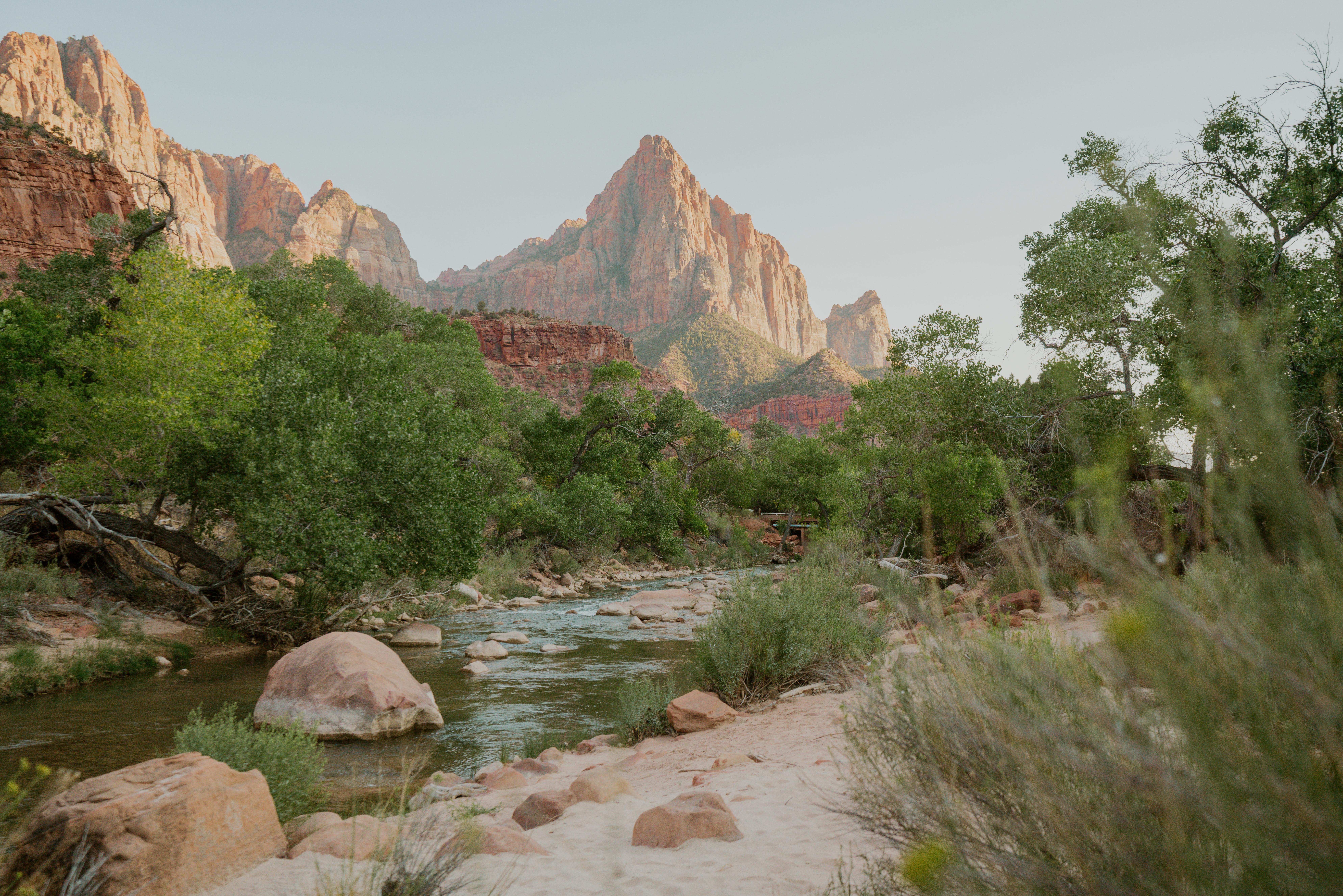 9e74aba5-b41a-477c-826f-a4954a8ca5eb