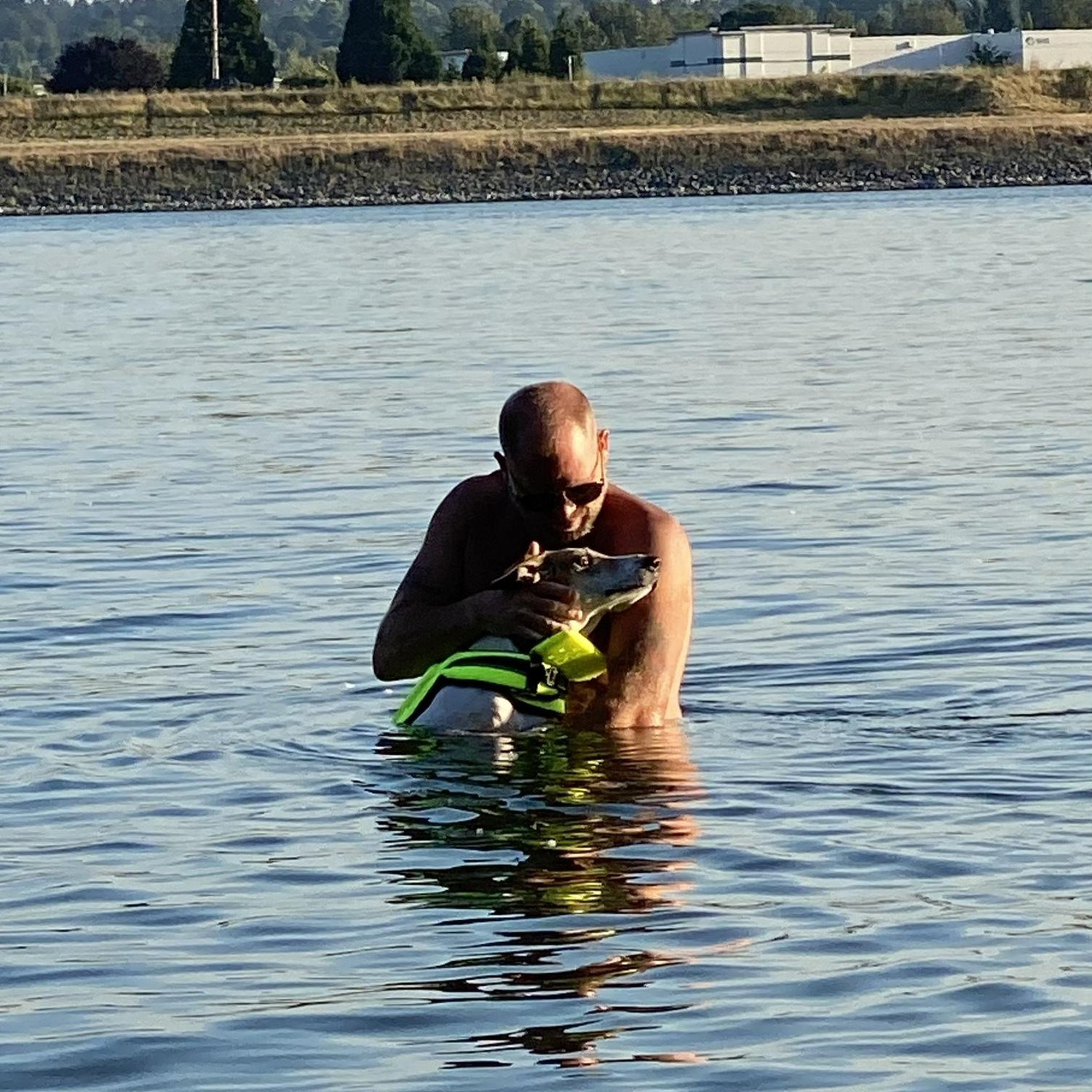 Teaching Penny to swim in the Columbia, July 2022.