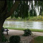 Waterloo Park