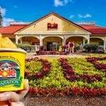 Dole Plantation