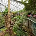 Omaha's Henry Doorly Zoo and Aquarium