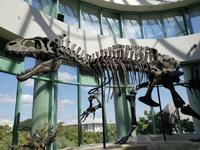 North Carolina Museum of Natural Sciences
