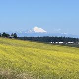 Ebey's Landing