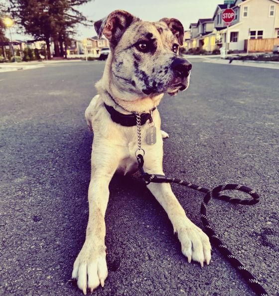 The Wedding Website of Rowan Williams and Rilee Williams