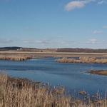 Theresa Marsh Wildlife Area