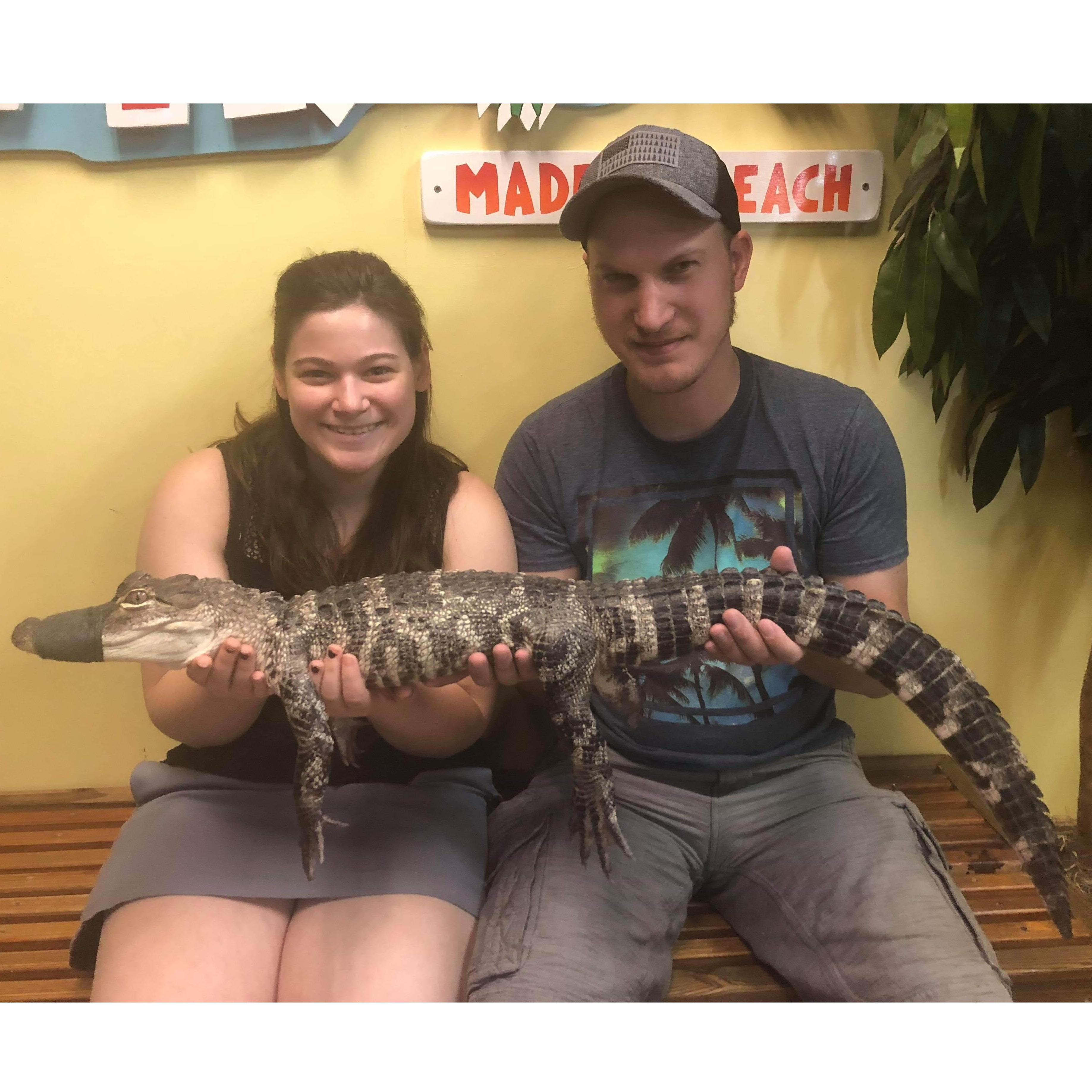 Florida fun at the Alligator Attraction.
