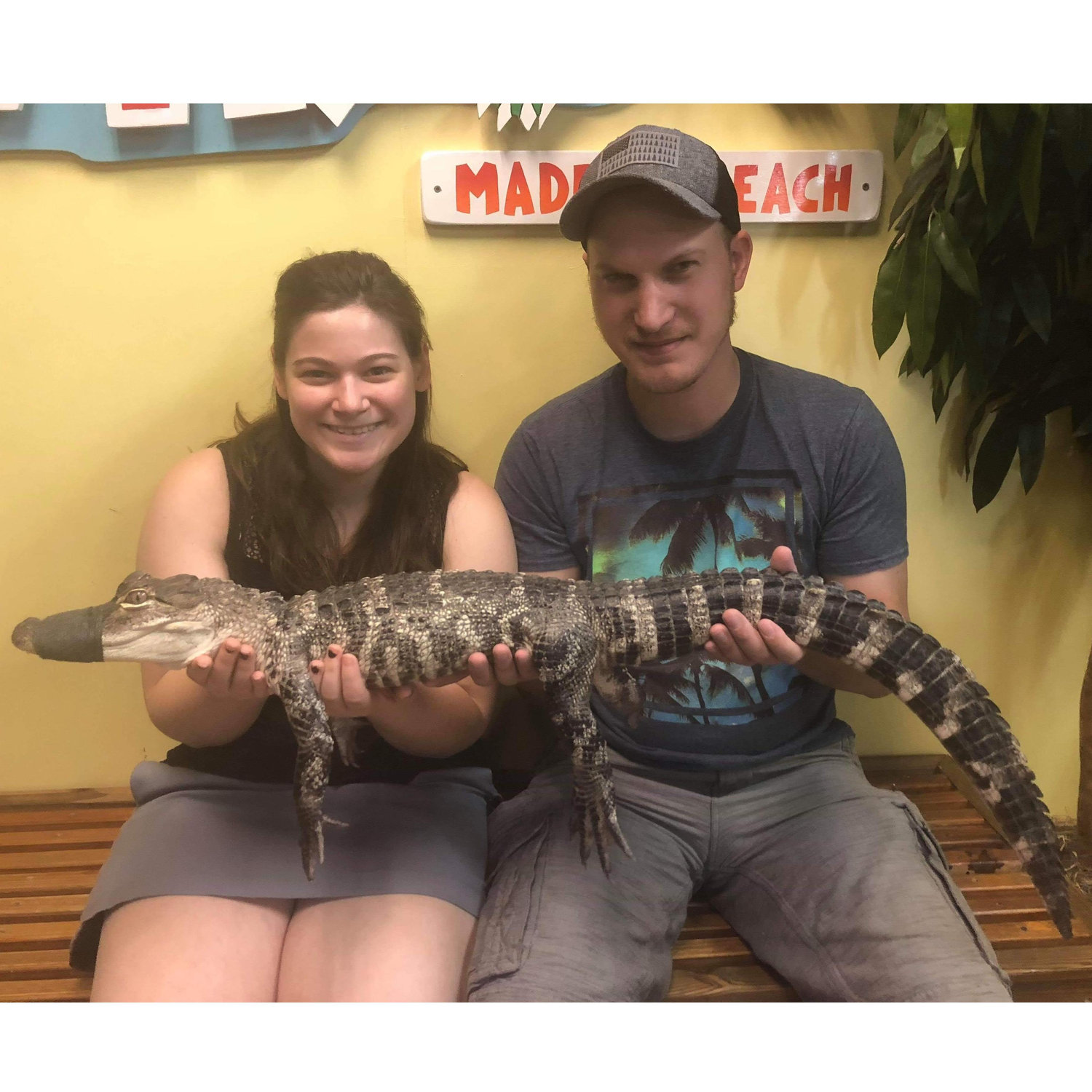 Florida fun at the Alligator Attraction.