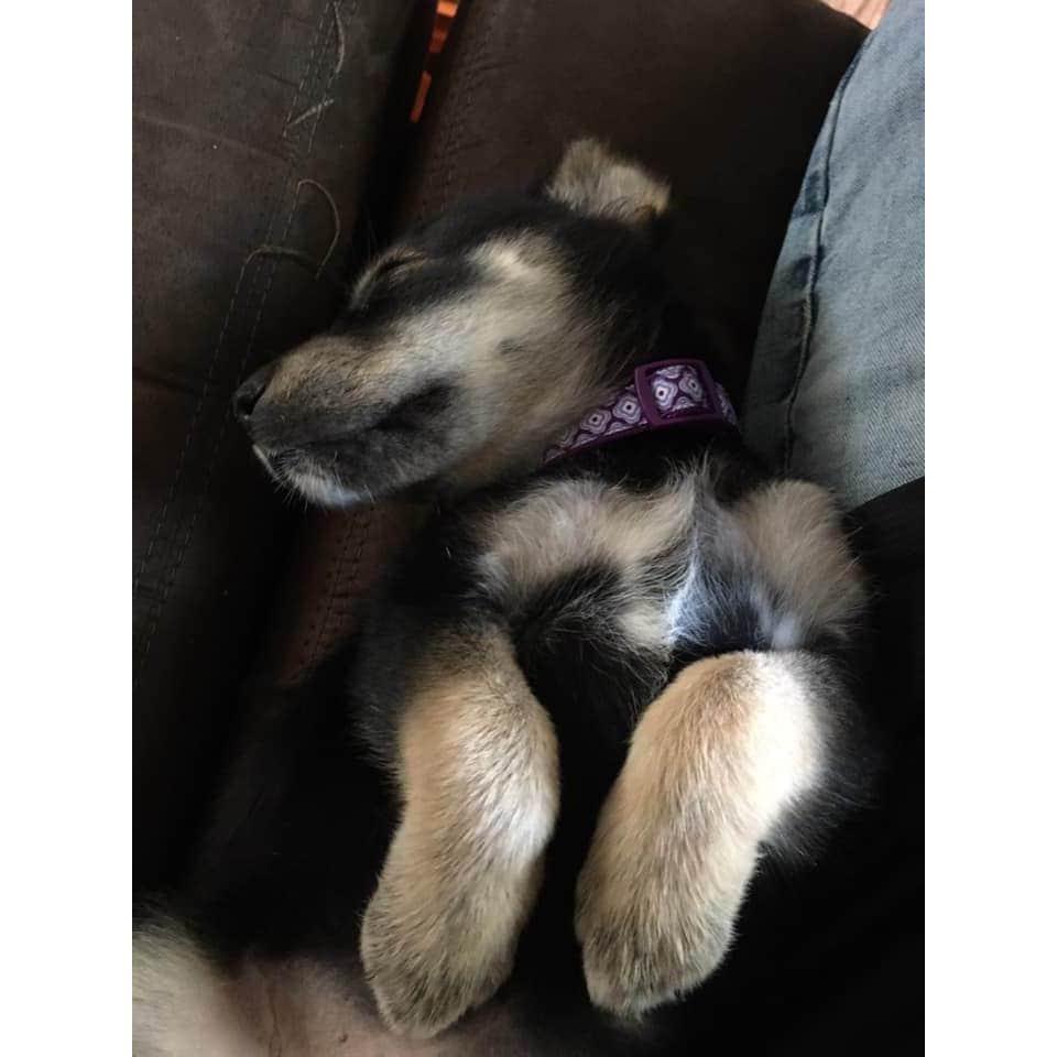 Baby Pepper