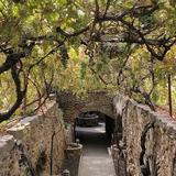Forestiere Underground Gardens