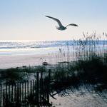 Isle of Palms