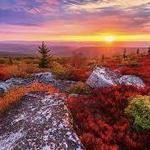 Dolly Sods Wilderness