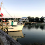 Shem Creek