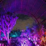 Desert Botanical Garden