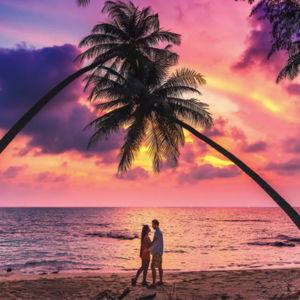 Our Honeymoon Fund