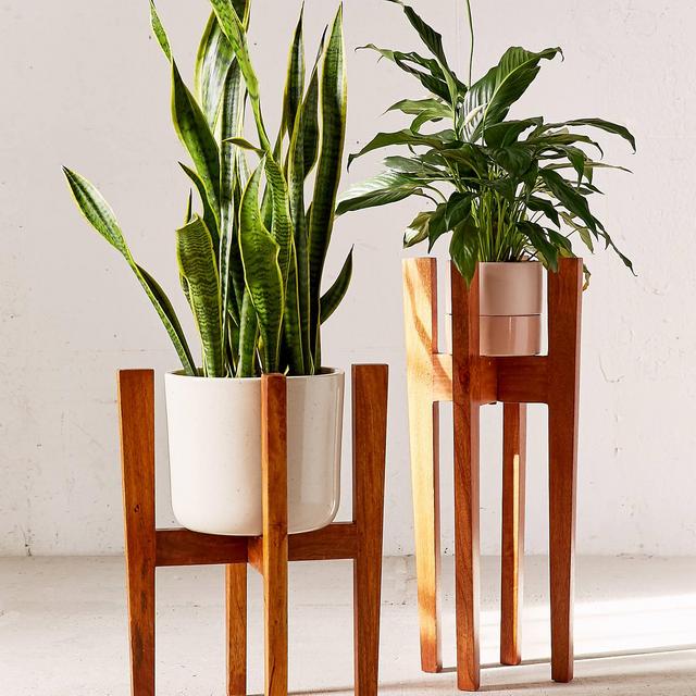 Knock Down Plant Stand